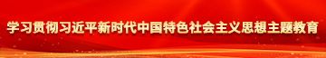 sao穴嗯哼嗯哼嗯哈在线看学习贯彻习近平新时代中国特色社会主义思想主题教育